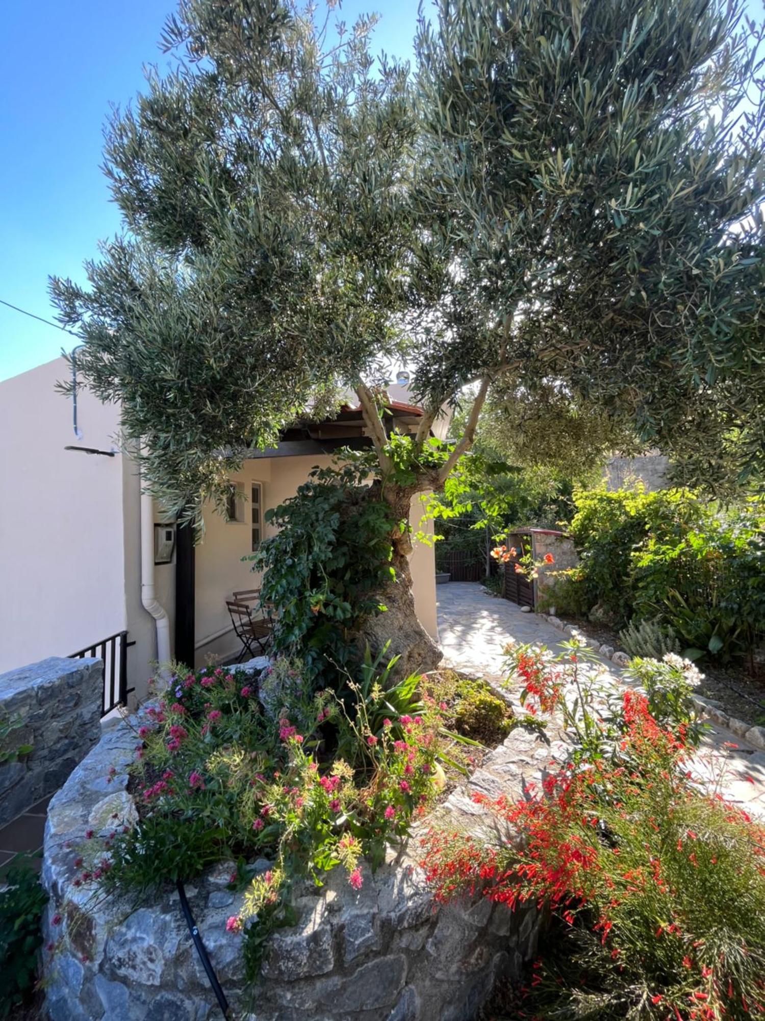 Petasos House - Garden - Sea View Villa Sellía Exterior foto